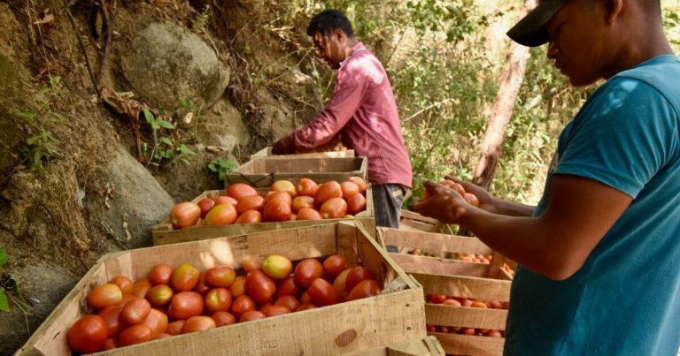 ¿Un golpe al comercio agrícola con México?