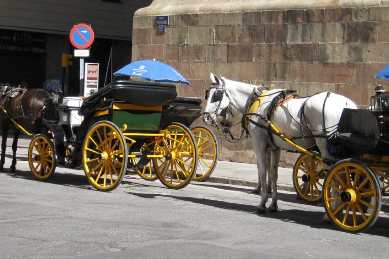 Cada vez más ciudades dicen adiós a los coches de caballos para turistas. Málaga ha decidido que este sea su último año