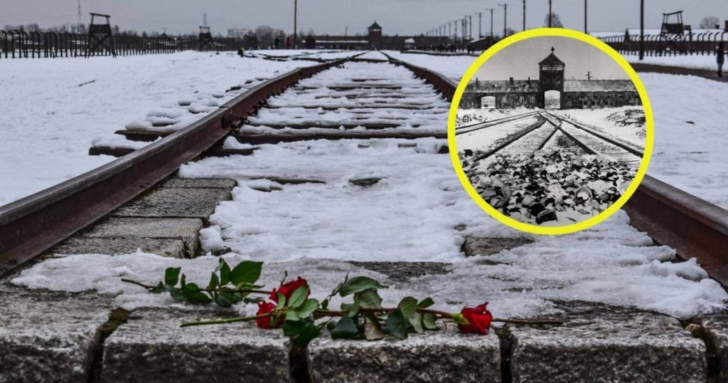 El hallazgo histórico que desconcertó al mundo y reveló el lado más oscuro de la humanidad