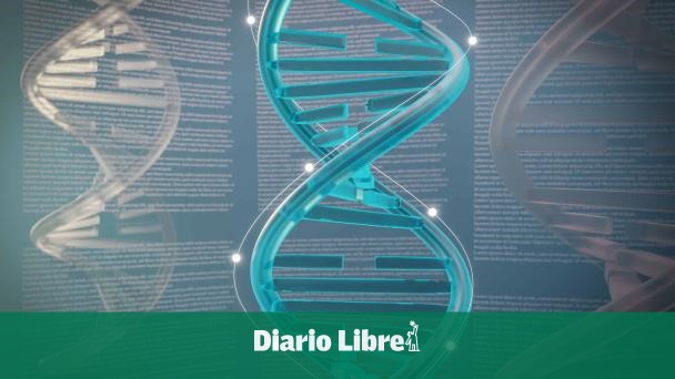 Estudio sobre mezcla del ADN en la reproducción abre nuevas vías