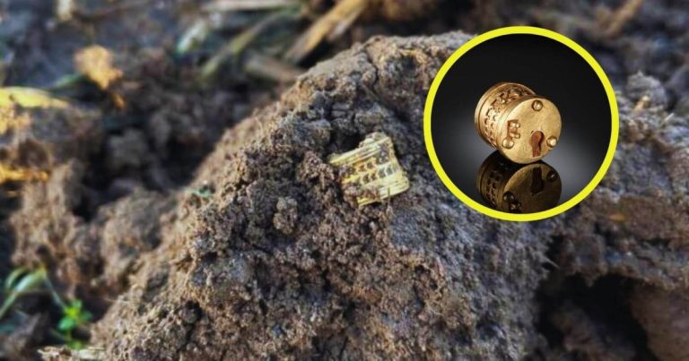 descubren un candado romano de oro único en Europa, más pequeño que una moneda, pero con un gran secreto (que desconcierta a los expertos)