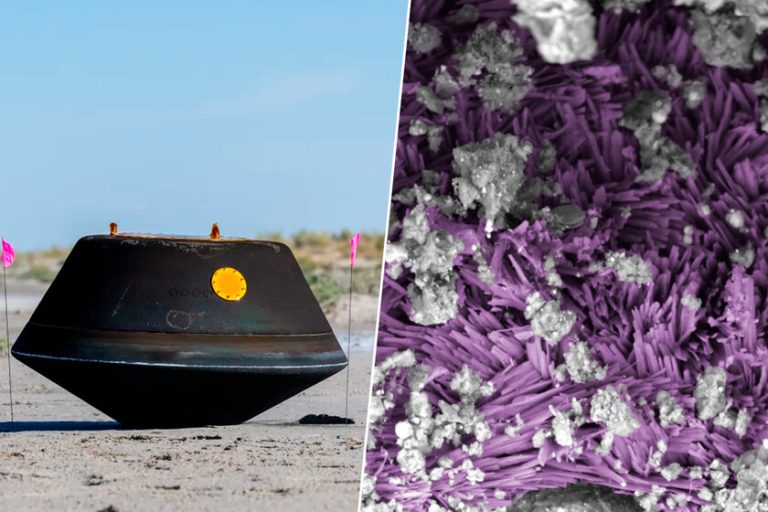 la NASA ha encontrado moléculas vinculadas a la vida en las muestras de Bennu
