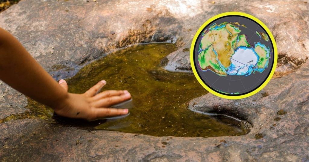 ¿Dónde y cuándo surgieron los dinosaurios? Un hallazgo histórico revela su origen en el Amazonas y el Sahara hace 230 millones de años, desafiando teorías previas