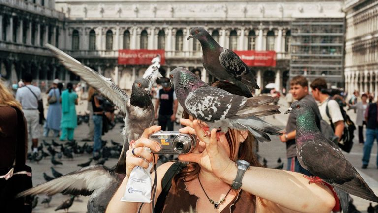 10 frases del documental ‘Yo soy Martin Parr’ que han enriquecido mi visión sobre el gran retratista del ocio contemporáneo