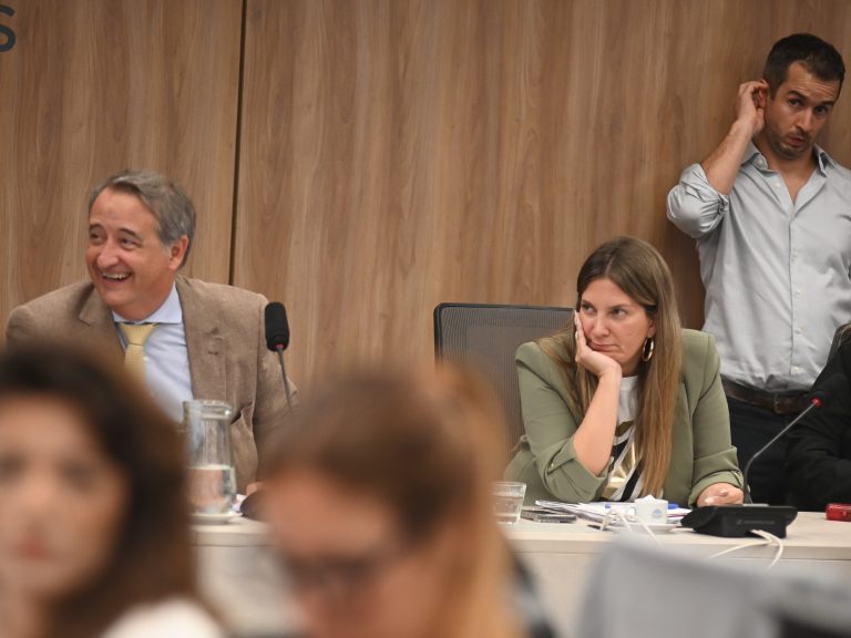 Entre cruces con el kirchnerismo por la figura de Cristina Kirchner, Diputados logró dictamen para Ficha Limpia