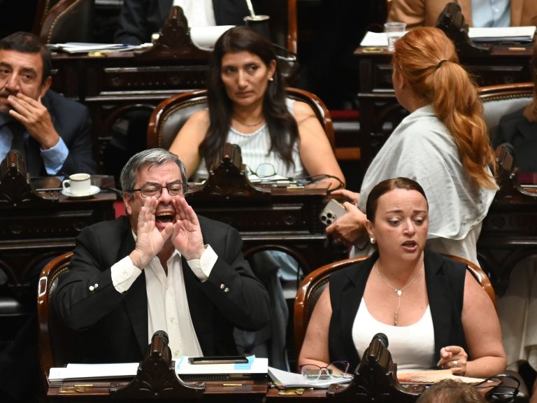 Todos contra las PASO, vuelve la obra pública y negociación a pleno por Ficha Limpia