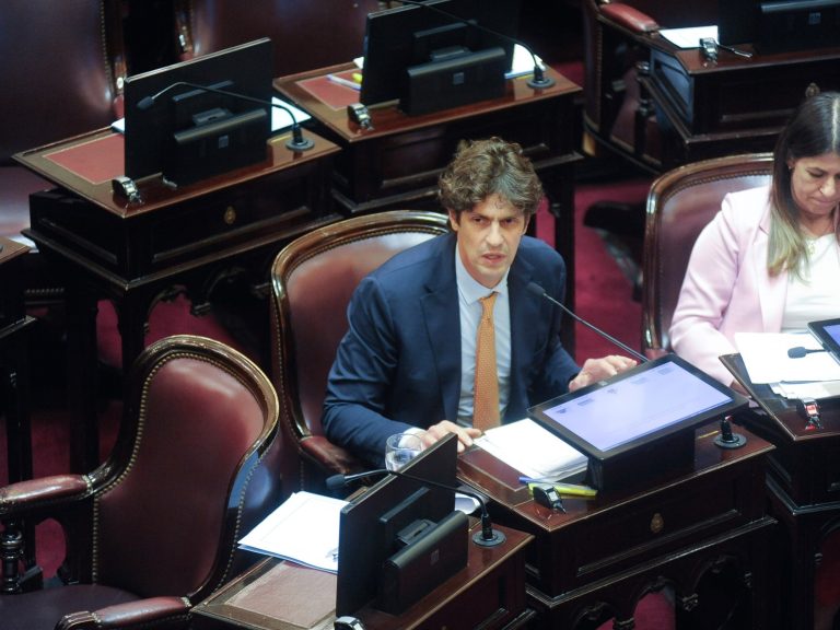 Martín Lousteau denunció una “operación masiva de trolls del Gobierno” para instalar que no votó a favor de un minuto de silencio por la familia Bibas