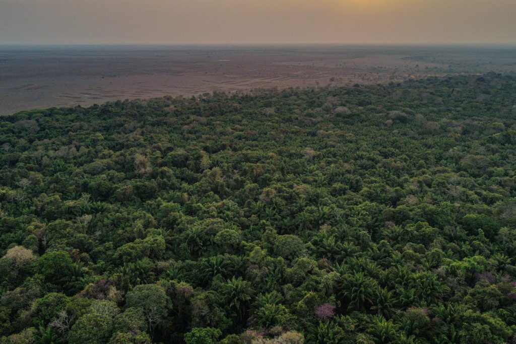 Un misterio enterrado en la selva: científicos encuentran rastros de una civilización avanzada en la Amazonia