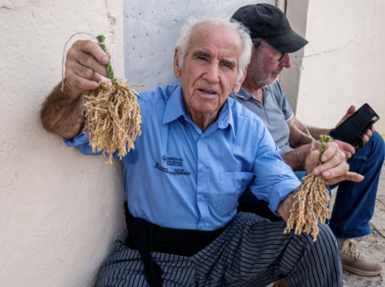 Conoce el parque natural de la Albufera y el arroz valenciano con denominación de origen • Actualidad • Forbes México