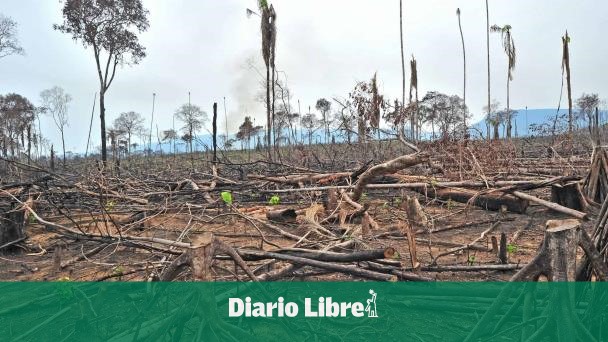Deforestación en Colombia repunta en 2024