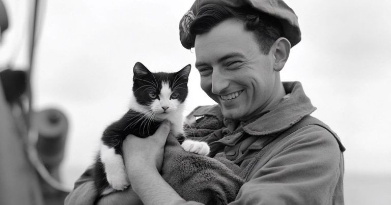 Descubre la increíble historia de Oscar, el gato insumergible que sobrevivió a tres naufragios durante la Segunda Guerra Mundial