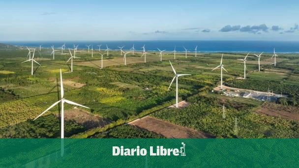 EGE Haina trabaja en manteimiento de Los Cocos