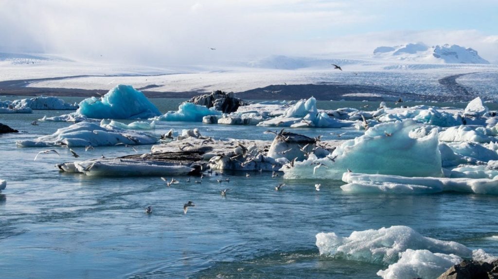 Gota a gota, desaparecen los colosales glaciares que Darwin admiró en su viaje más austral
