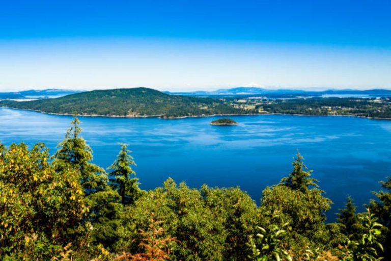 La increíble isla dentro de un lago, dentro de una isla: el fenómeno natural que asombra en Canadá