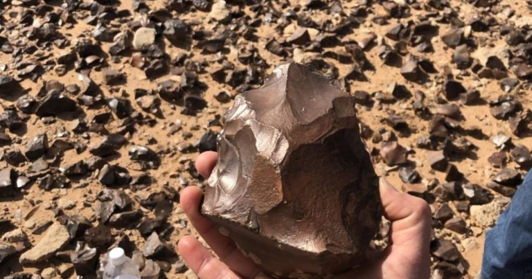 El increíble hallazgo de 850 hachas de piedra sugiere que existía un taller prehistórico en Iraq hace 1,5 millones de años
