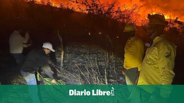 Fuego forestal afectó 180 tareas en Dajabón