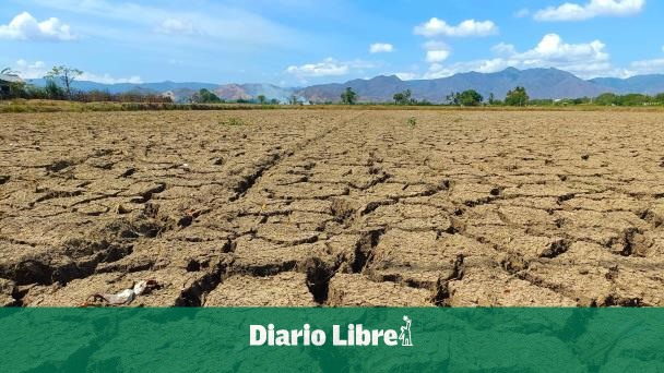 Gobierno y la ONU buscan reforzar estrategias contra sequía en RD