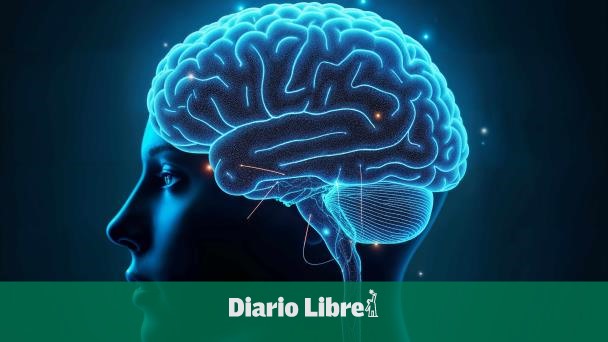 Identifican un circuito del cerebro que controla la creatividad