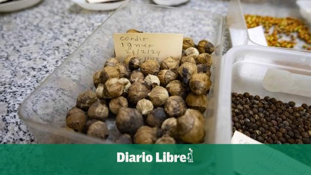 Jardín Botánico logra conservación de 318 especies amenazadas
