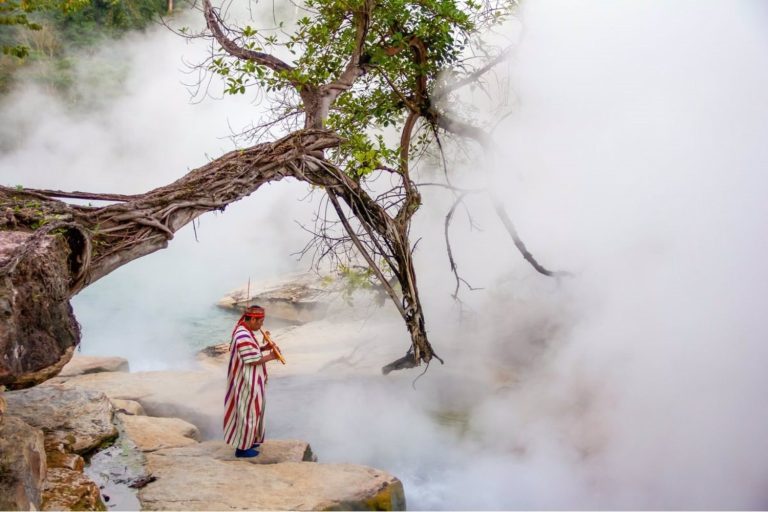 El río que hierve a sus víctimas: la aterradora realidad oculta en el Amazonas
