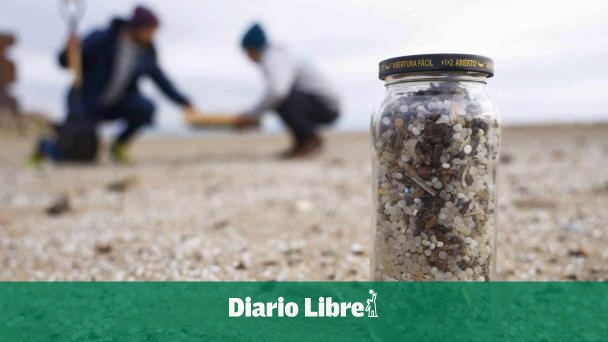 Los microplásticos se pueden acumular más en el cerebro