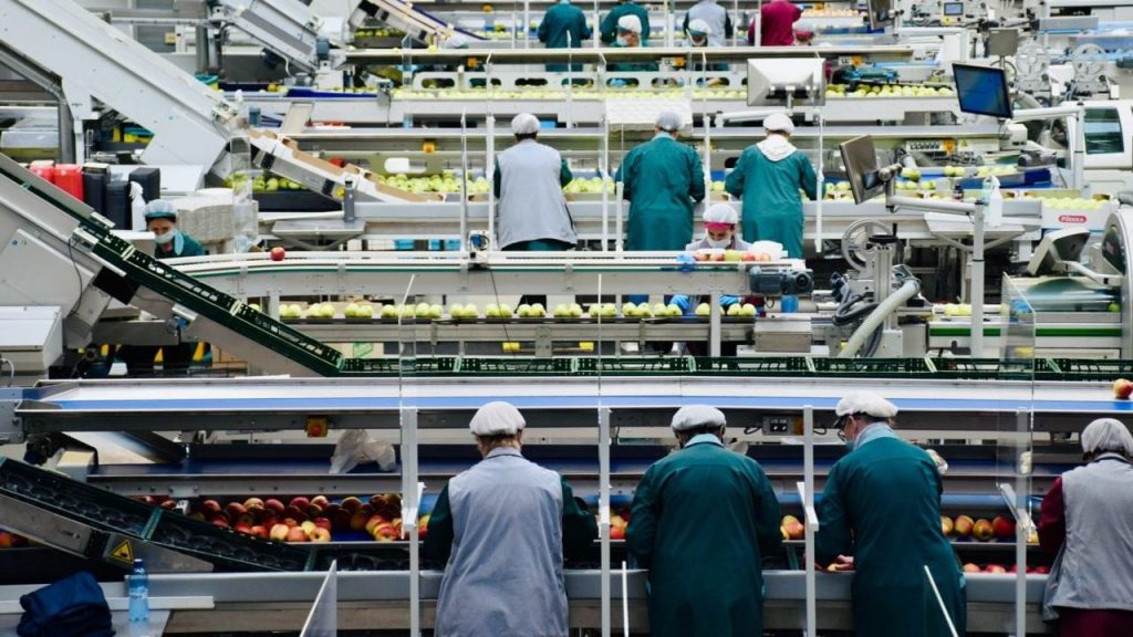 Más de 6,000 empresas en riesgo por interpretación del SAT, advierte Coparmex • Economía y finanzas • Forbes México