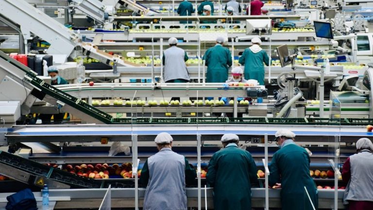 Más de 6,000 empresas en riesgo por interpretación del SAT, advierte Coparmex • Economía y finanzas • Forbes México