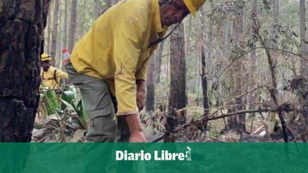 Medio Ambiente anuncia aumento salarial a los bomberos forestales