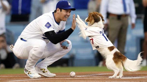 Mientras Shohei Ohtani respire que nadie aspire al premio MVP