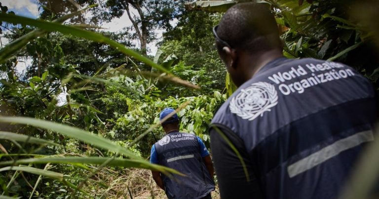 Una "enfermedad desconocida" en el Congo pone en alerta a la OMS