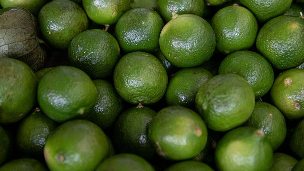 Michoacán-limonero-empacadoras