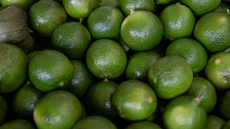 Michoacán-limonero-empacadoras