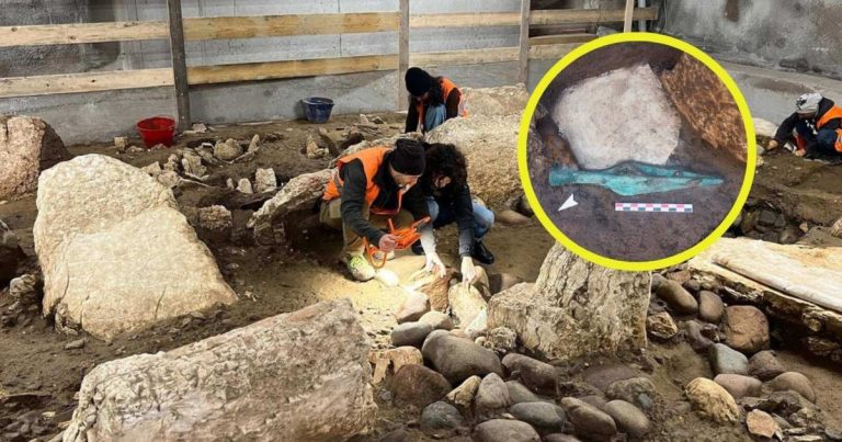 arqueólogos descubren una gran necrópolis prerromana oculta durante milenios en Trento con más de 200 tumbas y un asombroso ajuar funerario