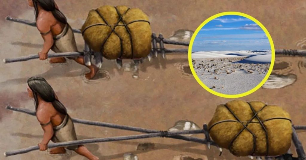 descubren en EE.UU. el primer "vehículo" de la humanidad, usado miles de años antes de la rueda