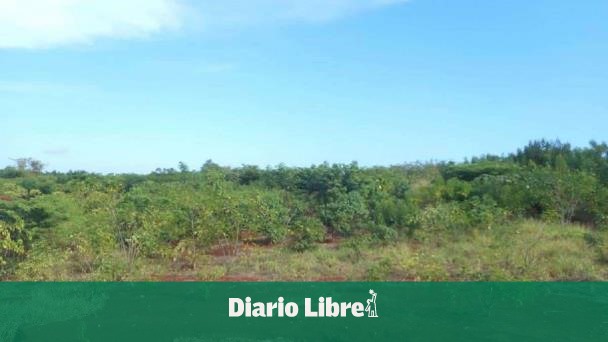 ¿Cuándo será la explotación de tierras raras en República Dominicana?