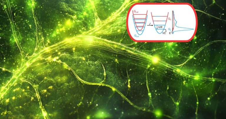 ¿Y si si la fotosíntesis estuviese relacionada con la mecánica cuántica? La física y la biología se dan la mano