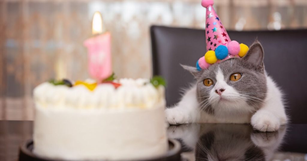 ¿es el 20 de febrero o el 8 de agosto?