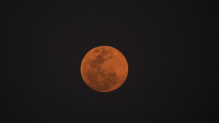 VIDEO, FOTOS: Raro eclipse solar tiñe la Luna de