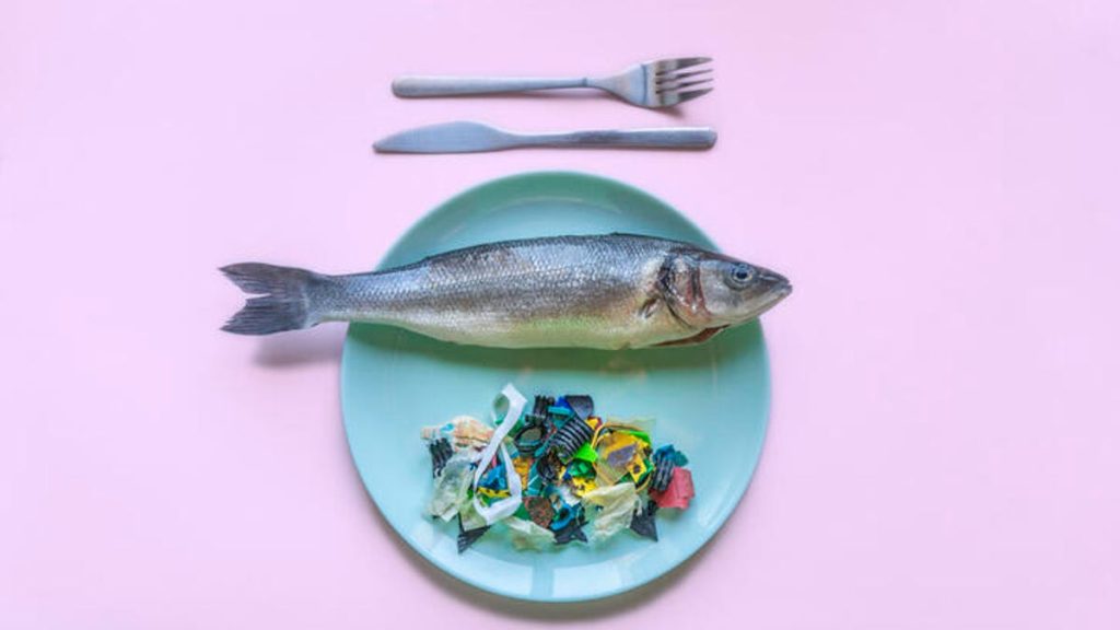 Fish on plate with a pile of plastic beside it.