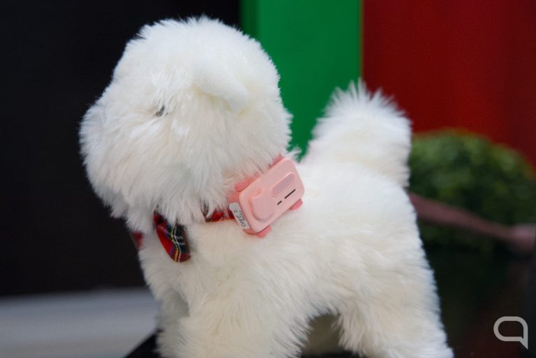 Así es el PetPhone, el primer móvil para mascotas del mundo