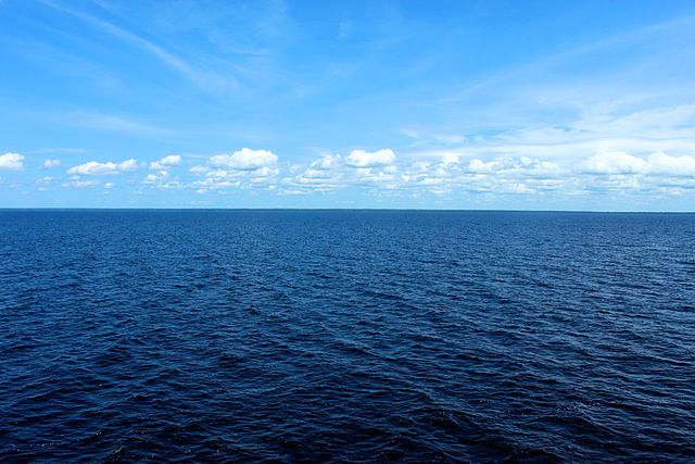 océano Pacífico zona minera más grande del mundo especies marinas minería aguas profundas