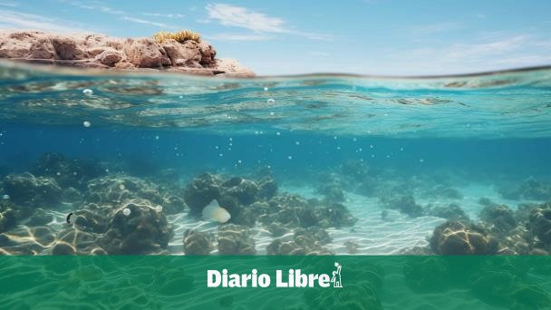 Científicos cartografían el lecho marino