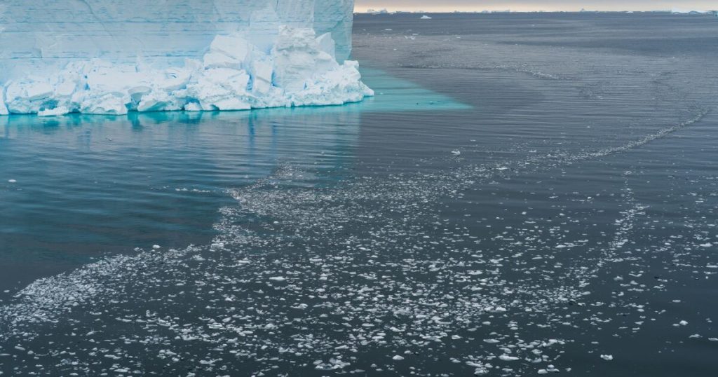 Científicos hallan ecosistema gracias a desprendimiento iceberg en la Antártida