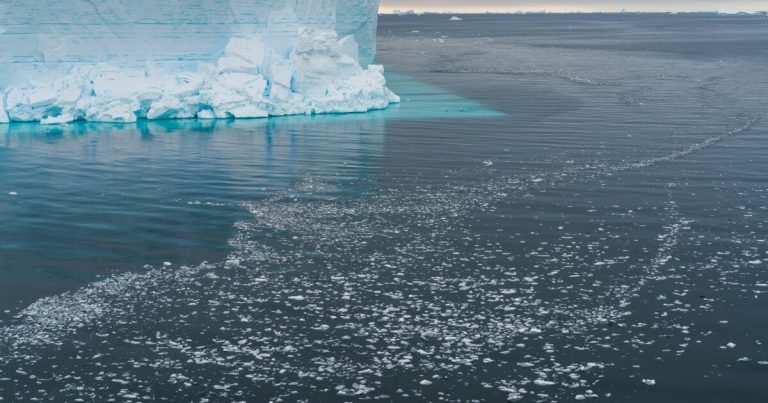 Científicos hallan ecosistema gracias a desprendimiento iceberg en la Antártida