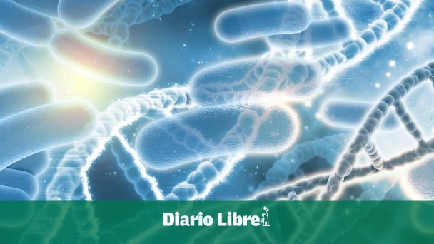 Crean bacterias modificadas para combatir tumores con luz infrarroja