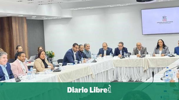 El Congreso debe aprobar más de 100 leyes constitucionales