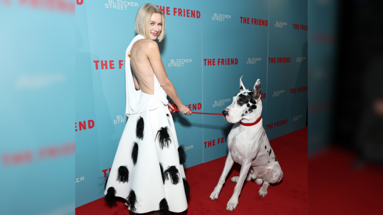 El bolso favorito de Kai con el que acompañó a su mamá, Naomi Watts, durante el estreno de The Friend