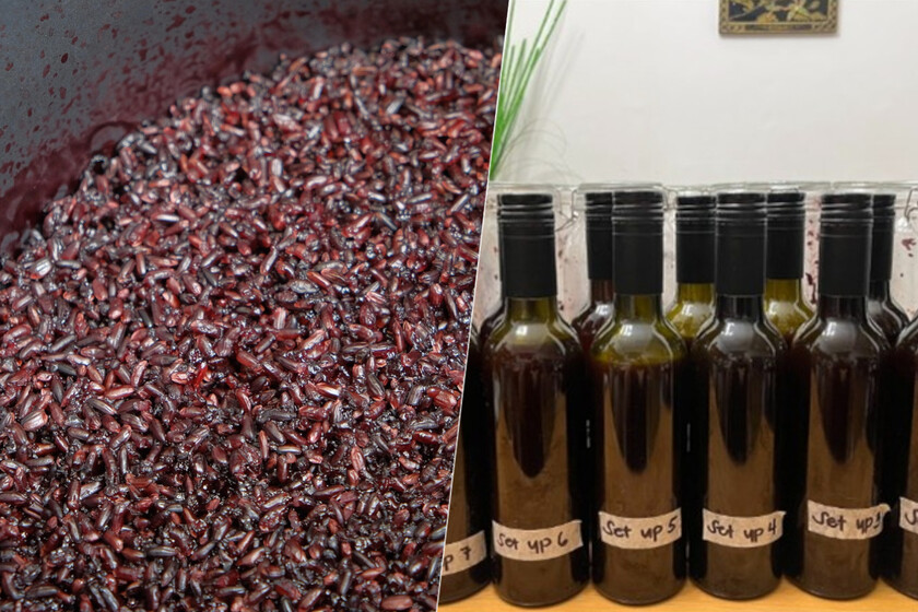 El vino de arroz filipino escondía un superalimento. En los residuos que desechábamos, concretamente