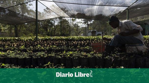 Gobierno dominicano impulsa proyectos de biofincas