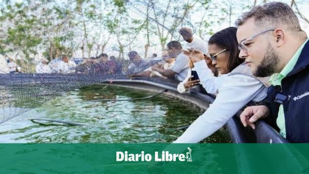 Inicia la crianza de tilapias en La Altagracia